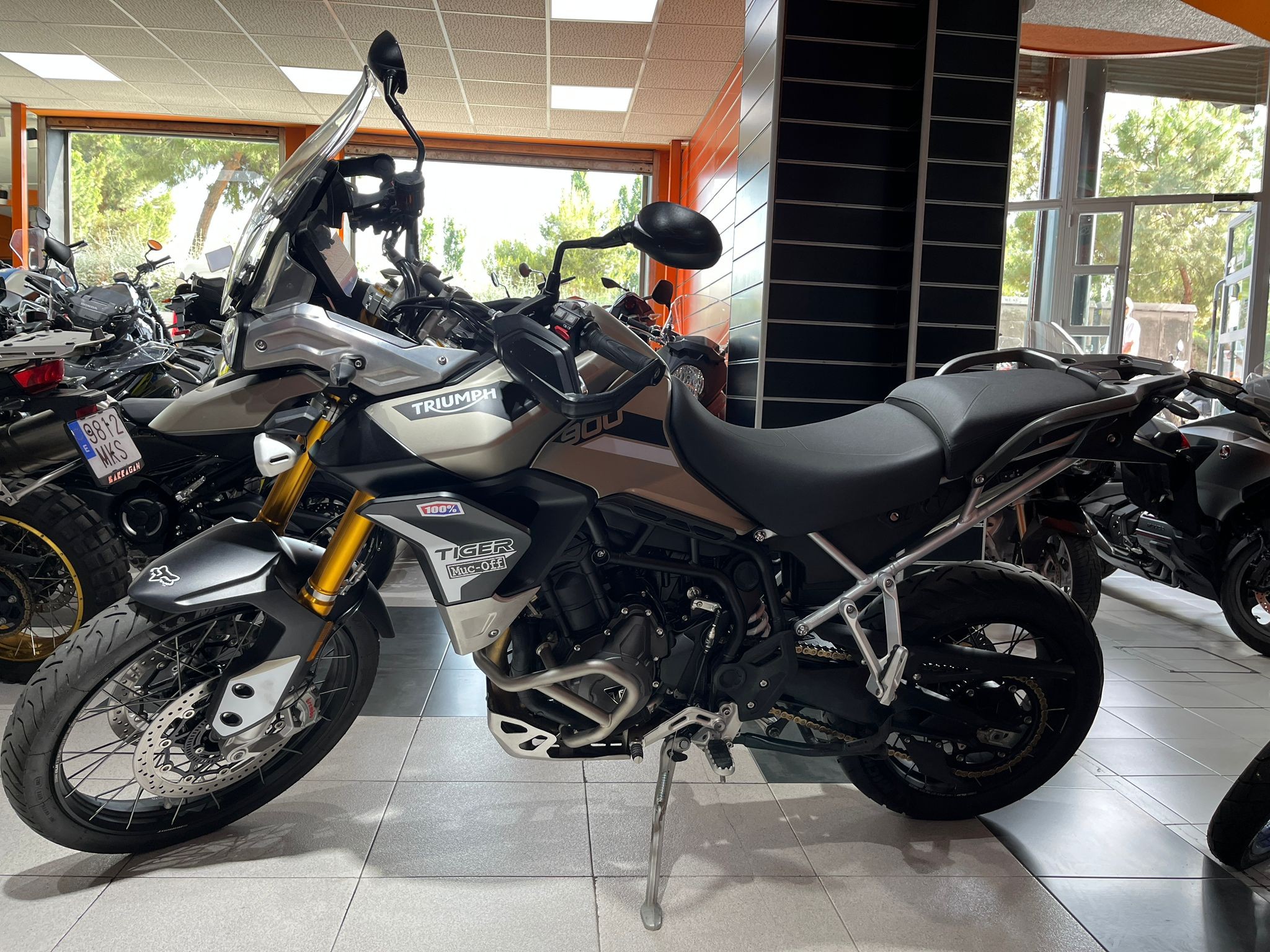 TIGER 900 RALLY PRO