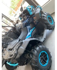 CFORCE 1000 MV