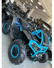 CFORCE 1000 MV