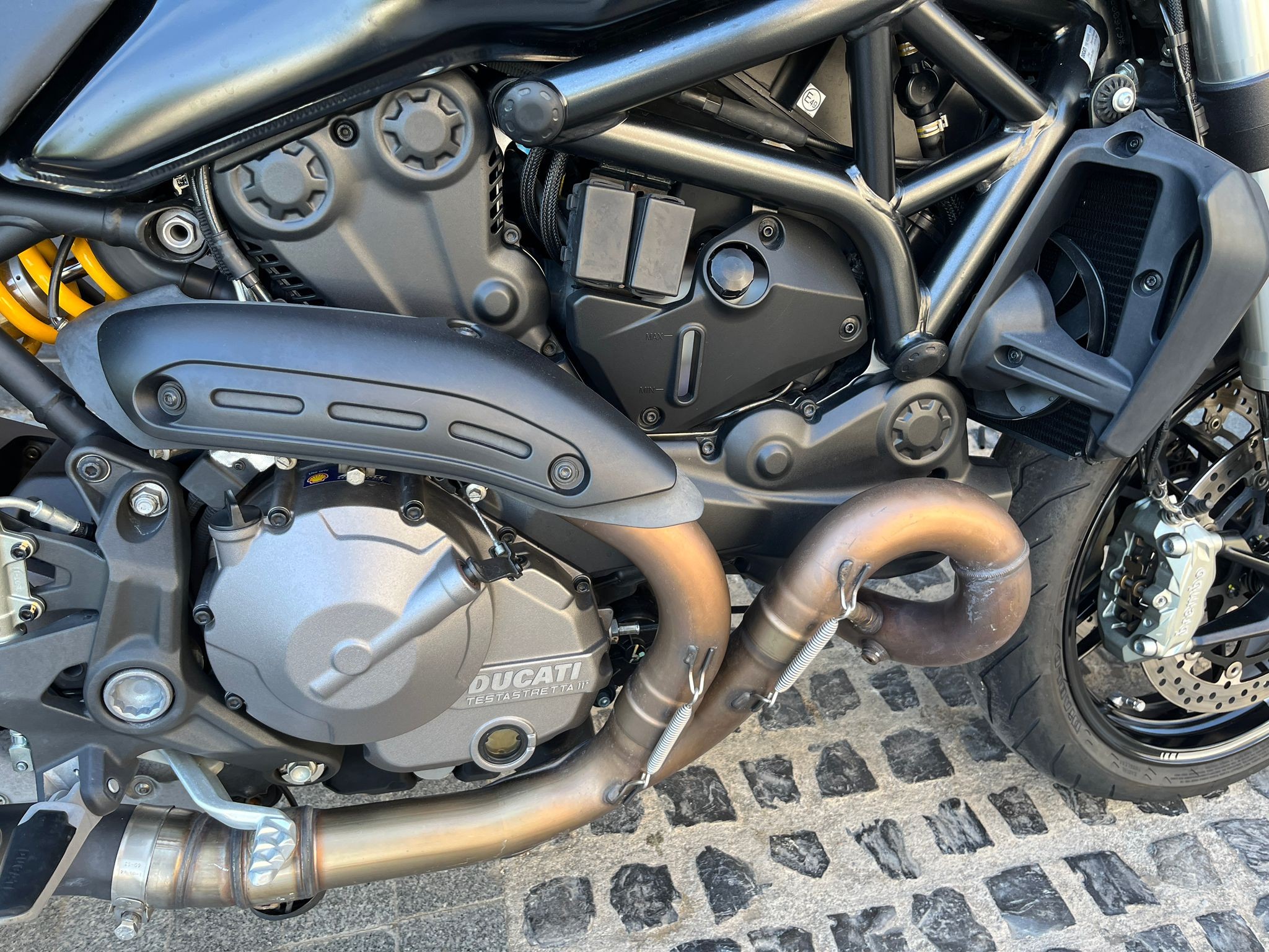 MONSTER 821