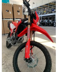 CRF 300L
