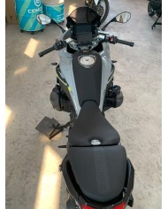 R1300RS