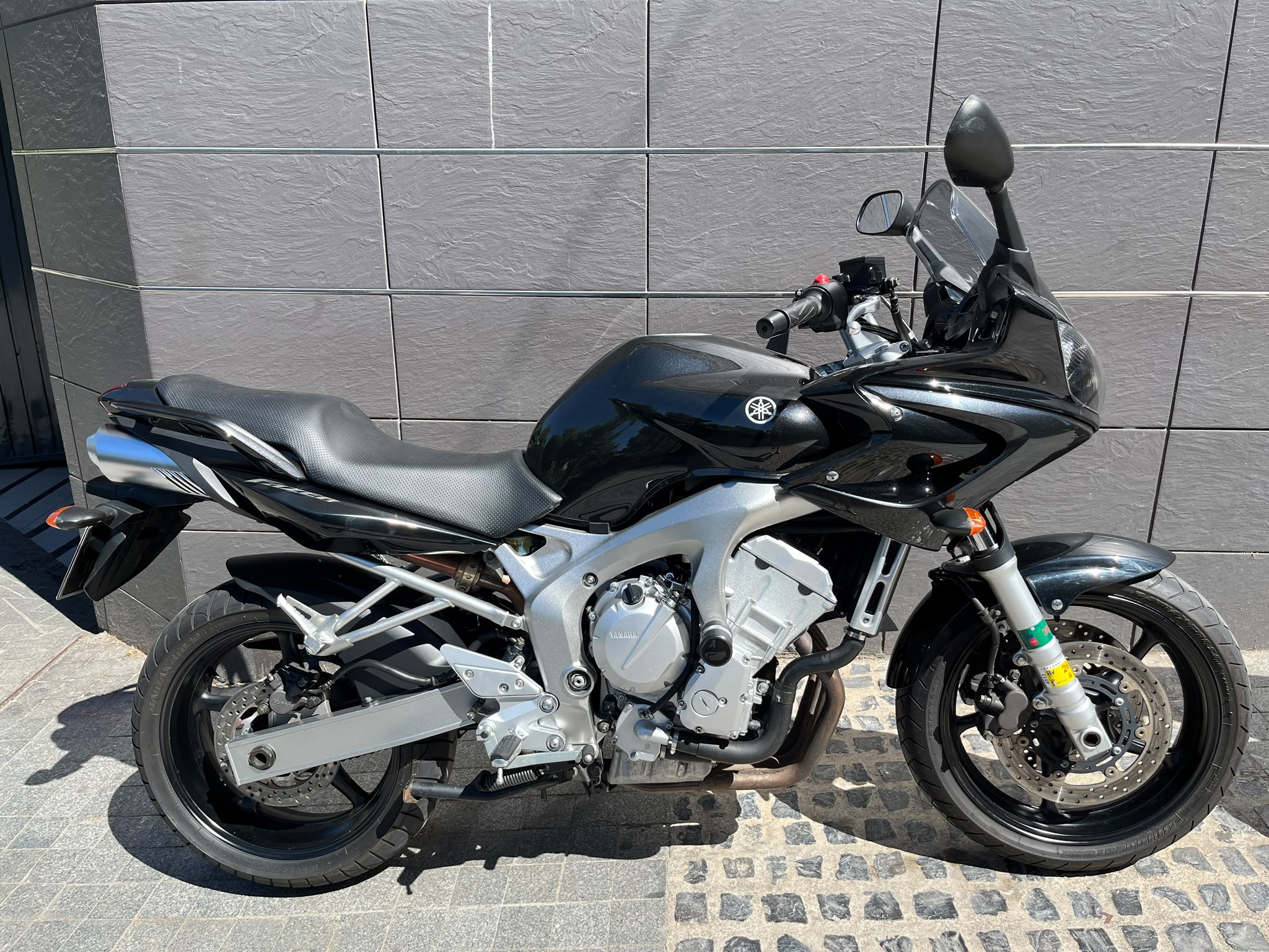FZ 6S