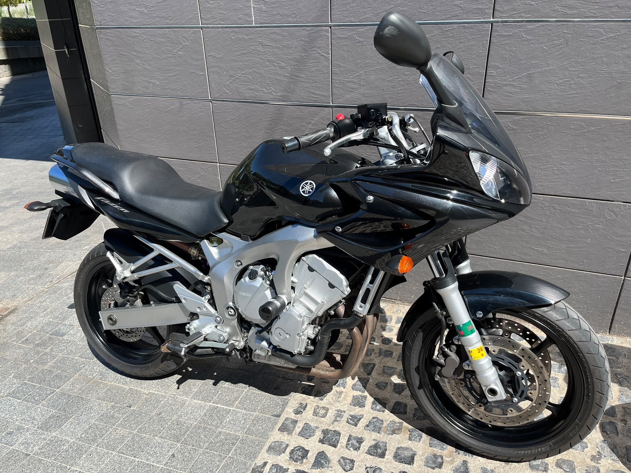 FZ 6S
