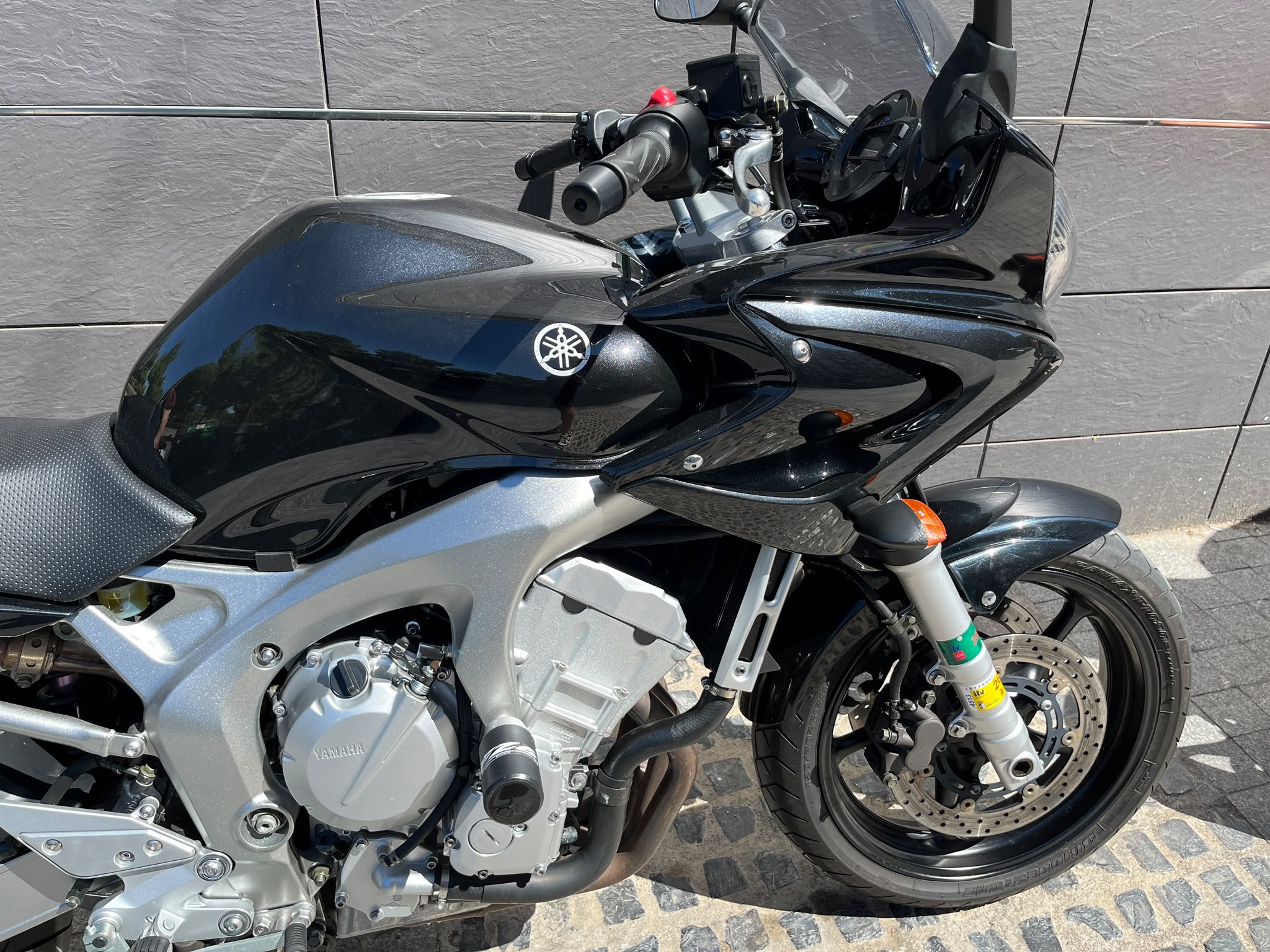 FZ 6S